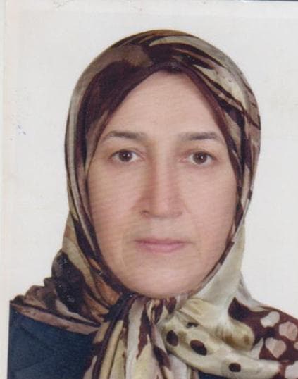 Dr. Ashraf Moeini